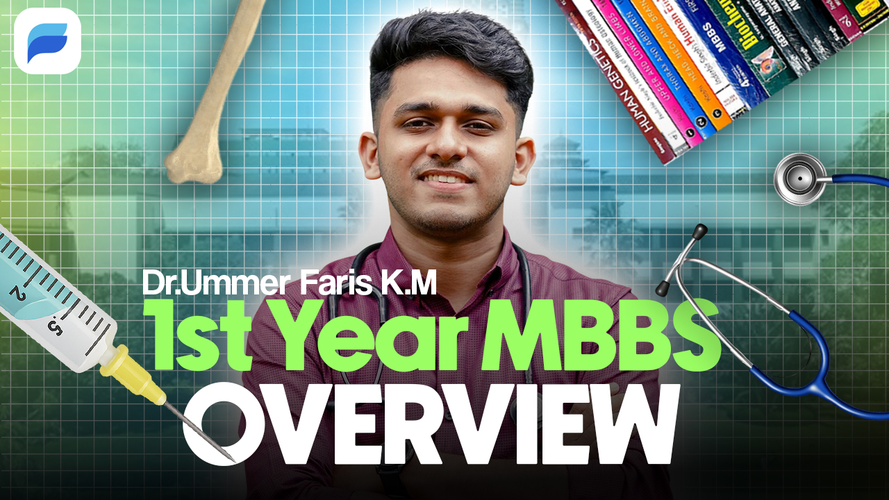 first-year-overview3